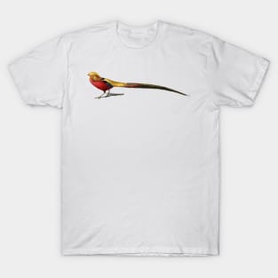 Golden Pheasant Digital Painting T-Shirt